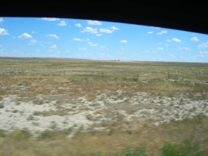 Prairie-Dog-Heaven