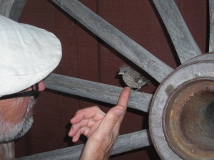 Joe-&-little-bird-friend