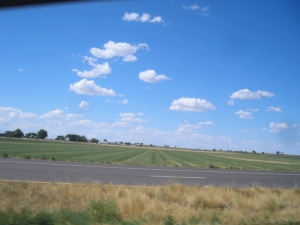 Southeastern-CO-farmlands