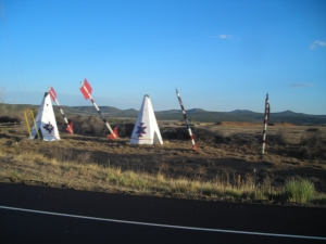 Tipees