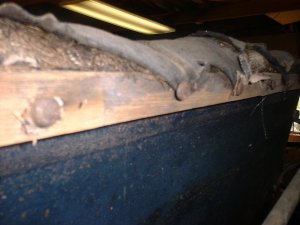 Corner of drivers seat
