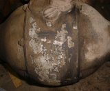 Differential showing stipes.